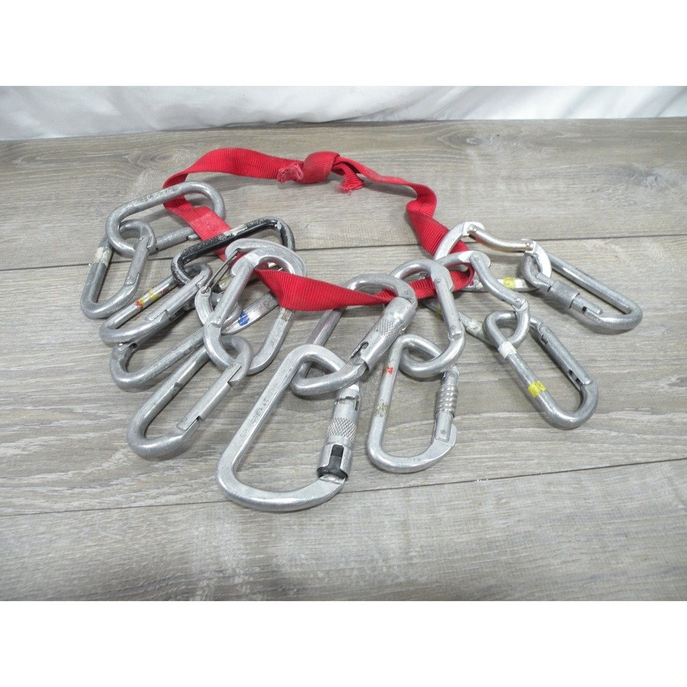 Lot of 16 Vintage Climbing Carabiners Mixed Black Diamond Kong D-Shape Screwgate